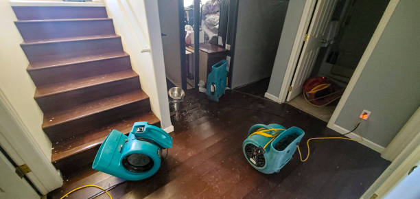 Best Ceiling water damage repair  in Fair Oaks Ranch, TX