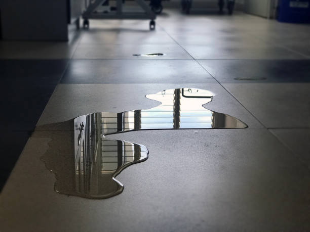 Best Professional water damage repair  in Fair Oaks Ranch, TX