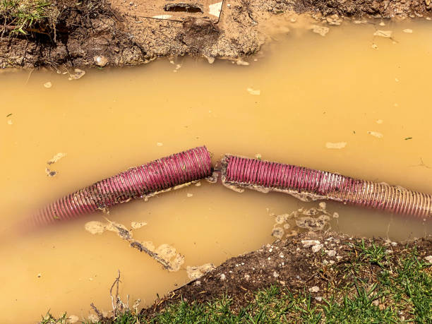 Best Water damage restoration near me  in Fair Oaks Ranch, TX