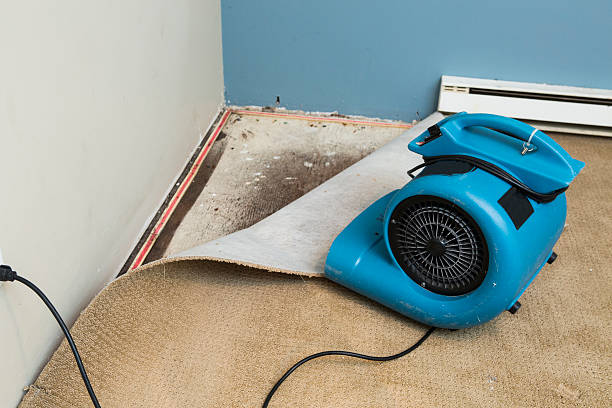 Best Water damage restoration mold remediation  in Fair Oaks Ranch, TX
